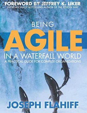 Being Agile in a Waterfall World